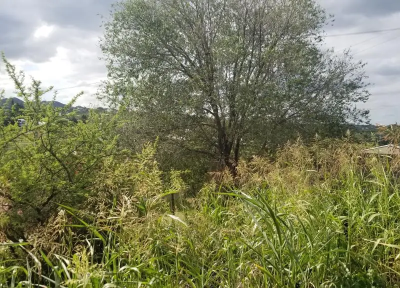 Terreno en venta en Salsipuedes — foto 2