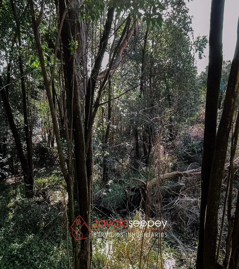 Terreno en venta en Salsipuedes — foto 5