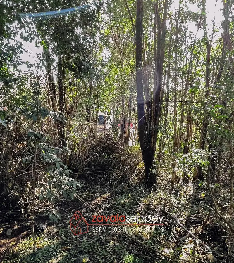 Terreno en venta en Salsipuedes — foto 3