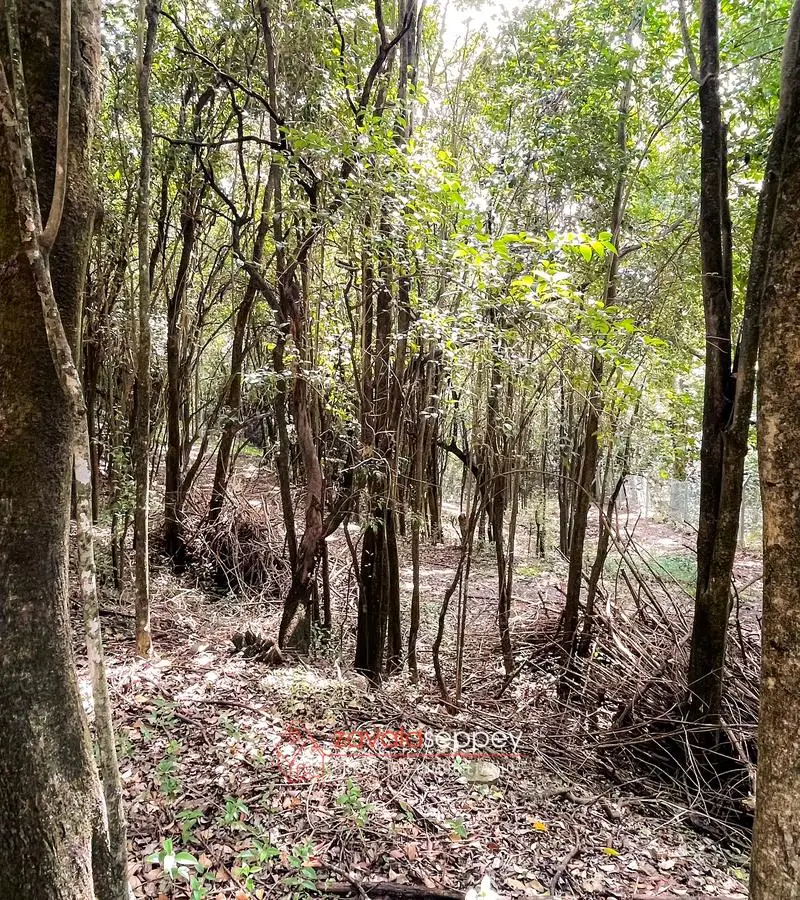 Terreno en venta en Salsipuedes — foto 5