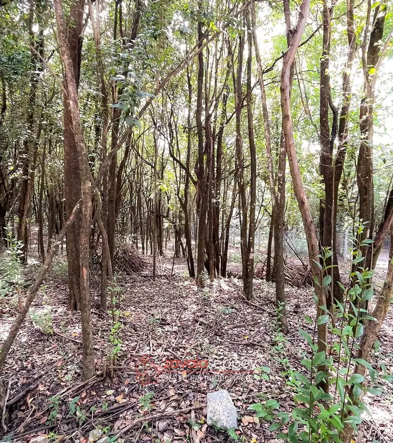 Terreno en venta en Salsipuedes — foto 2