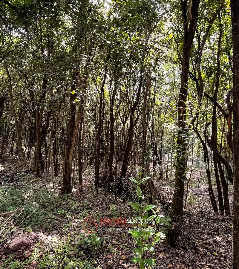Terreno en venta en Salsipuedes — foto 4