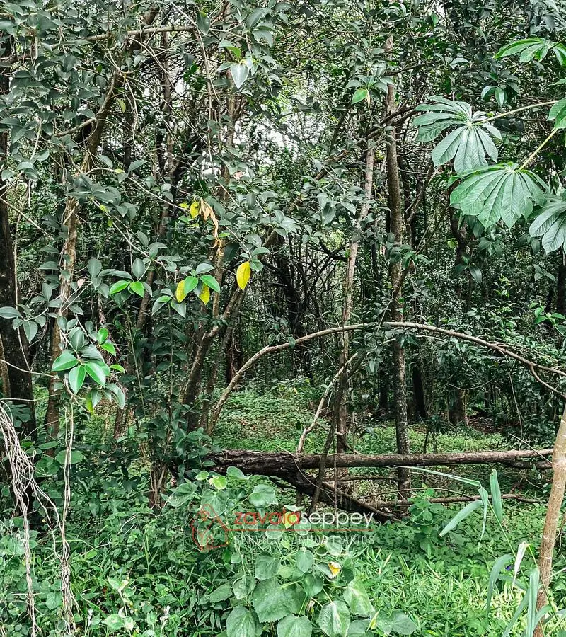 Terreno en venta en Salsipuedes — foto 5