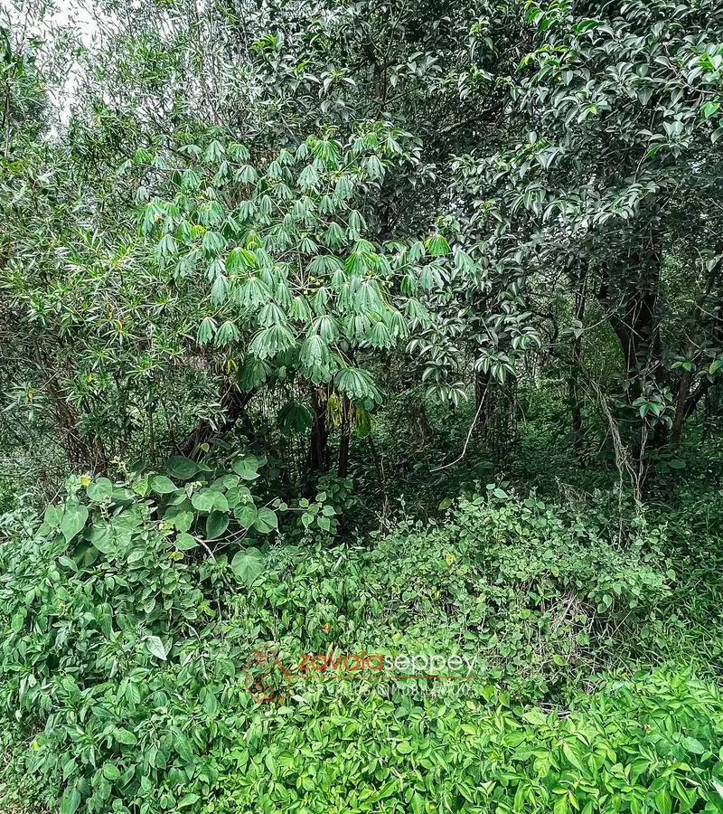 Terreno en venta en Salsipuedes — foto 4