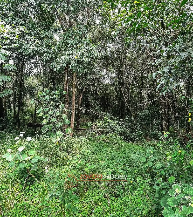 Terreno en venta en Salsipuedes — foto 2
