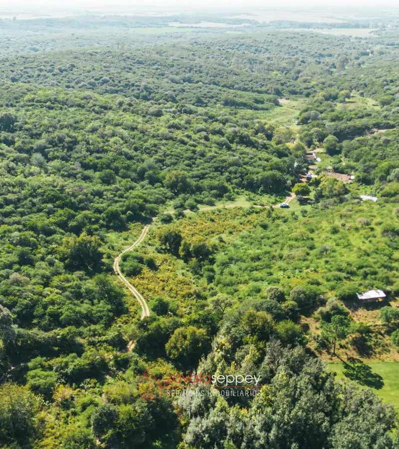 Terreno en venta en El Manzano — foto 5