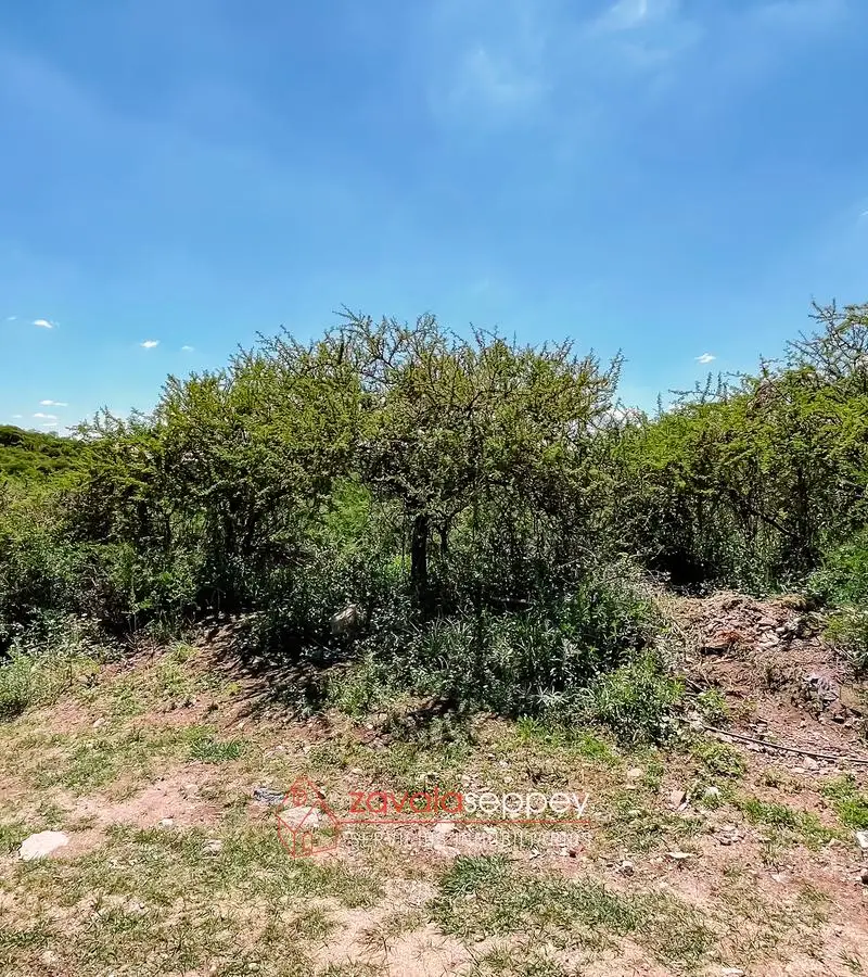 Terreno en venta en Salsipuedes — foto 3