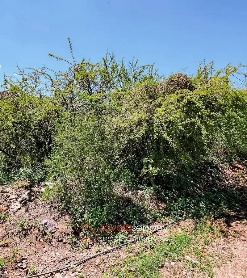 Terreno en venta en Salsipuedes — foto 2