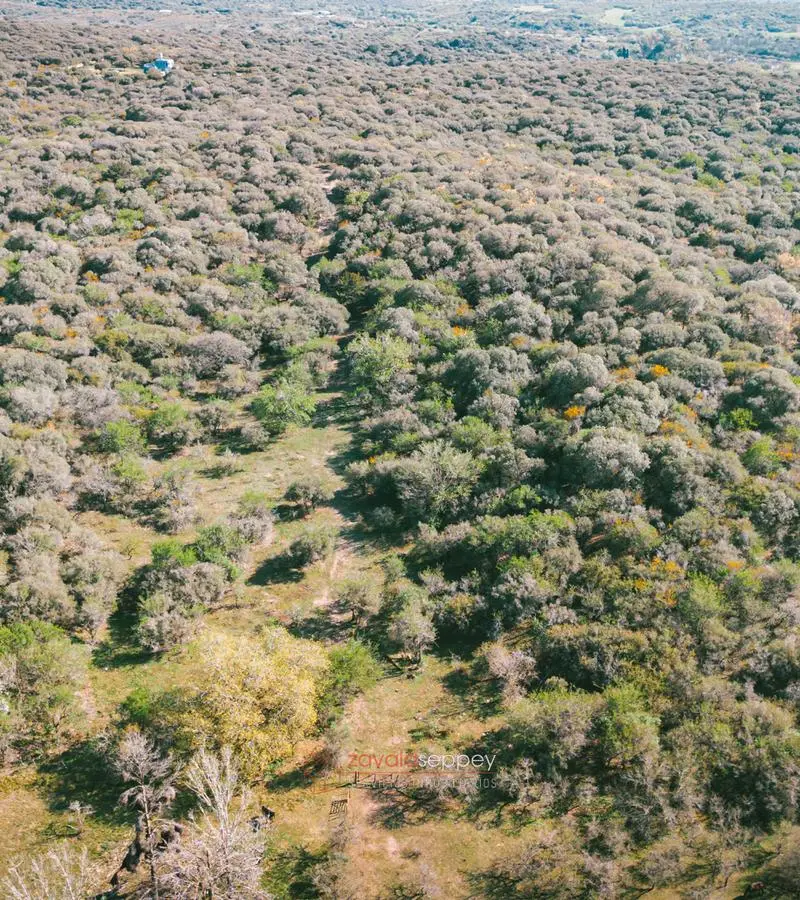 Terreno en venta en Salsipuedes — foto 5