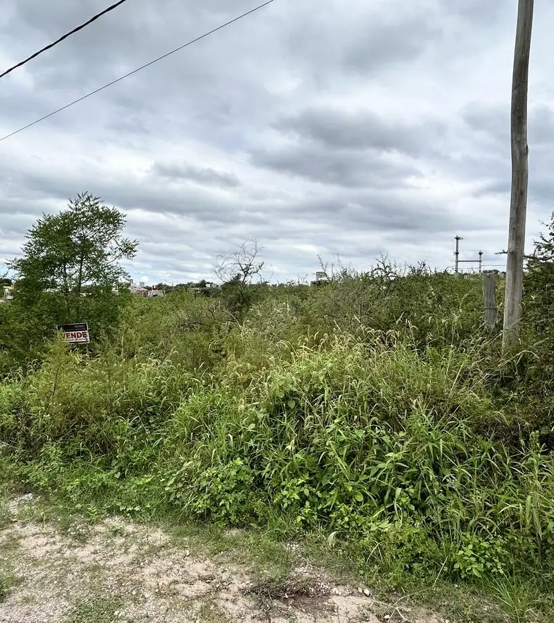 Terreno en venta en Salsipuedes — foto 5